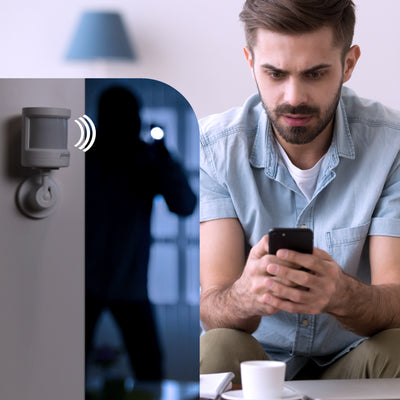 1462666|SMARTHOME350