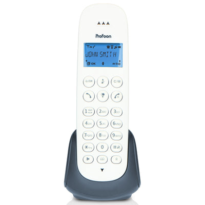 Profoon PDX-300AE - DECT-Telefon mit 1 Mobilteil, Schiefer